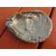 Cendrier bronze coquille d'huitre 19 ème 