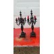 Paire de Candélabres Bronze 19 ème