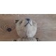 ours en peluche ancien