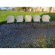 Lot de 5 Fauteuils de Marco Maran " Blablabla "