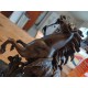 Bronze Guillaume Coustou 18 éme " Cheval de Marly " 1677- 1746