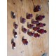 1 Lot de 17 Bouteilles de Parfum Guerlain Samsara