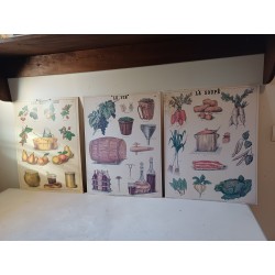 3 Affiches Scolaire Cartonées