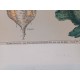 3 Affiches Scolaire Cartonées
