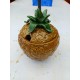 Sceau à Glaçons Barbotine Ananas