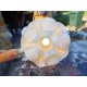 Suspension Vintage Plastic Blanc