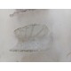 1 Lot de 5 Appliques Verre de Murano " Tuiles "