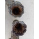 Lot de 5 Vases en Fonte 1900 de Charleville - Mézières