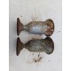 Paire de Vases en Fonte 1900 de Charleville - Mézières