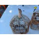 2 Cage à Oiseaux Fer