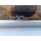 Micro Ondes Whirlpool