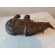 Rhinocéros Cuir