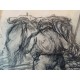 Dessins aux Crayons de Robert Vignal