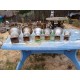 Lot de 6 Vases Médicis en Fonte de Charleville - Mézières 1900