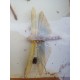 Série de Papillons et autres Exotiques