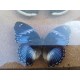 Série de Papillons Exotiques