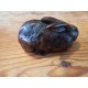 Lapin en Fonte de Fer Marron
