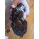 Lapin en Fonte de Fer Marron