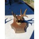 2 Andouillers " Bois de Cerf "