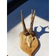 2 Andouillers " Bois de Cerf "