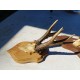 2 Andouillers " Bois de Cerf "