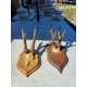 2 Andouillers " Bois de Cerf "
