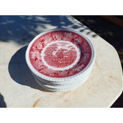 12 Assièttes en Faience de marque : Adams