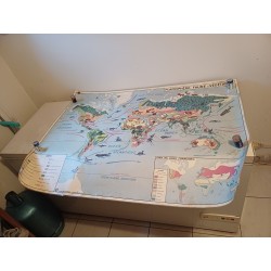 Carte Plastifié Planisphére de J.Anscombre