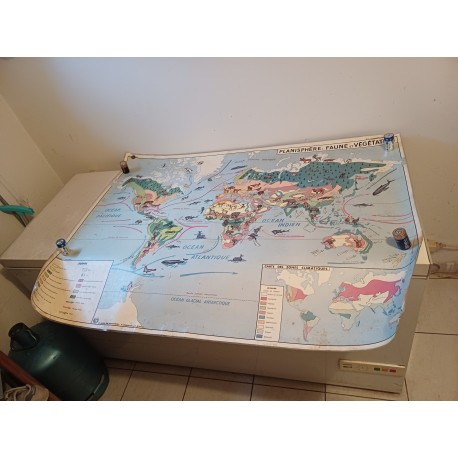 Carte Plastifié Planisphére de J.Anscombre