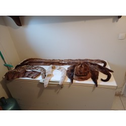 Boite à Chapeaux + Fourrures