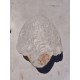 Plaque Platre Tete Bouddha Shiva Inde