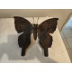 Sculpture en Métal " Papillon "