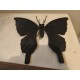 Sculpture en Métal " Papillon "