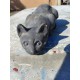 Chat en Platre Vintage
