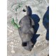 Chat en Platre Vintage