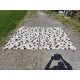 2 Tapis Chévre
