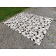 2 Tapis Chévre