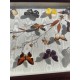 Lot de Papillons Exotique