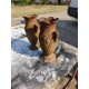 Paire de Vases en Fonte 1900 de Charleville - Mézières