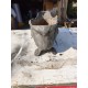Jardinière Aluminium 1900 des Etablissements Charleville-Mézières