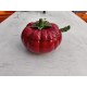 Faience Tomate