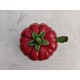 Faience Tomate