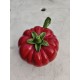 Faience Tomate