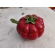 Faience Tomate
