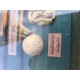 Vitrine d'éléments de décoration " Golf Ancien "