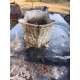 Paire de Jardinières en Fonte 1900 de Charleville - Mézières