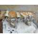 Lustre en Cristal + Paire d'Appliques