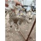 Lustre en Cristal + Paire d'Appliques