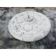 Rosace Platre Ancienne de Plafond