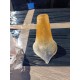 Lot de 5 Tulipes en Verre Opalin Anciennes